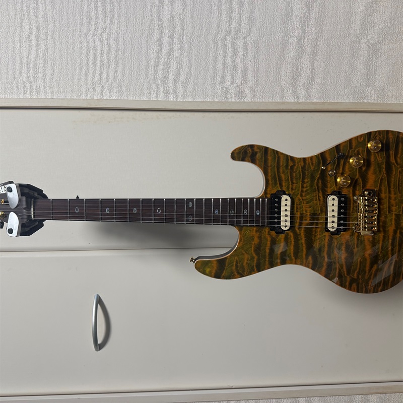 Freedom Custom Guitar Research O.S.Hydra 22F-2Pointの画像